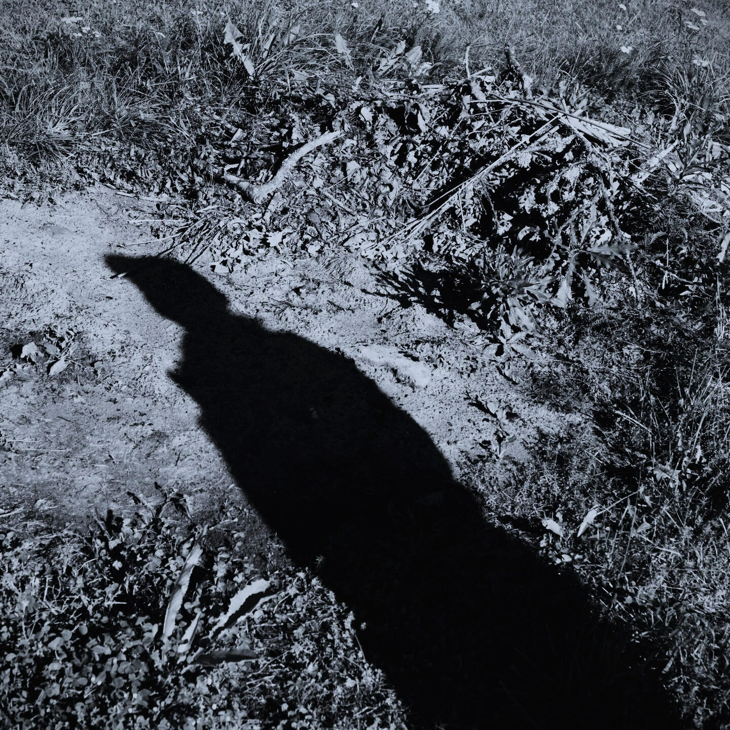 5 November 2023 khybin - gray